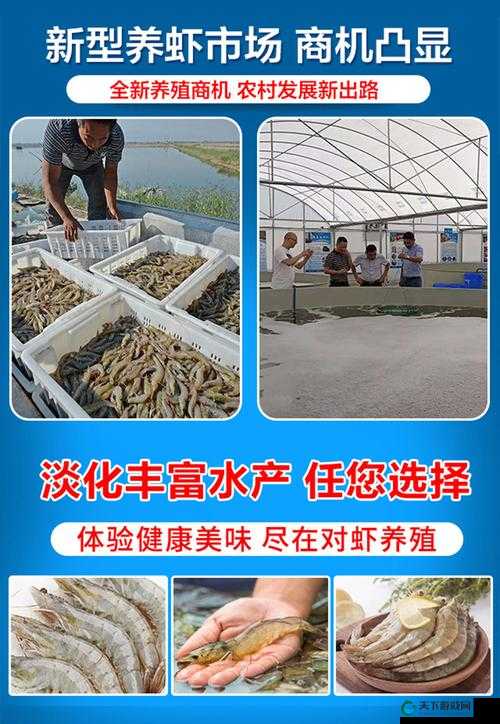 得到超级肉禽系统：开启全新的养殖致富之旅