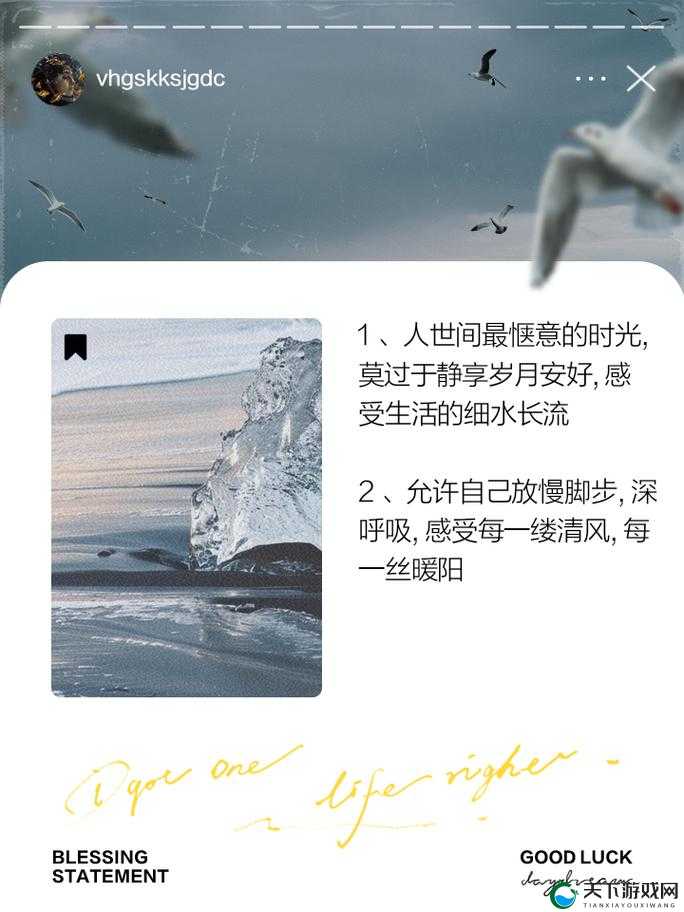 她开始慢迎迎合逍遥人生：尽情享受自由与惬意的美好时光