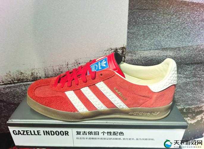 三叶草 gw2419 与神奇自然世界的紧密联系及独特魅力展现