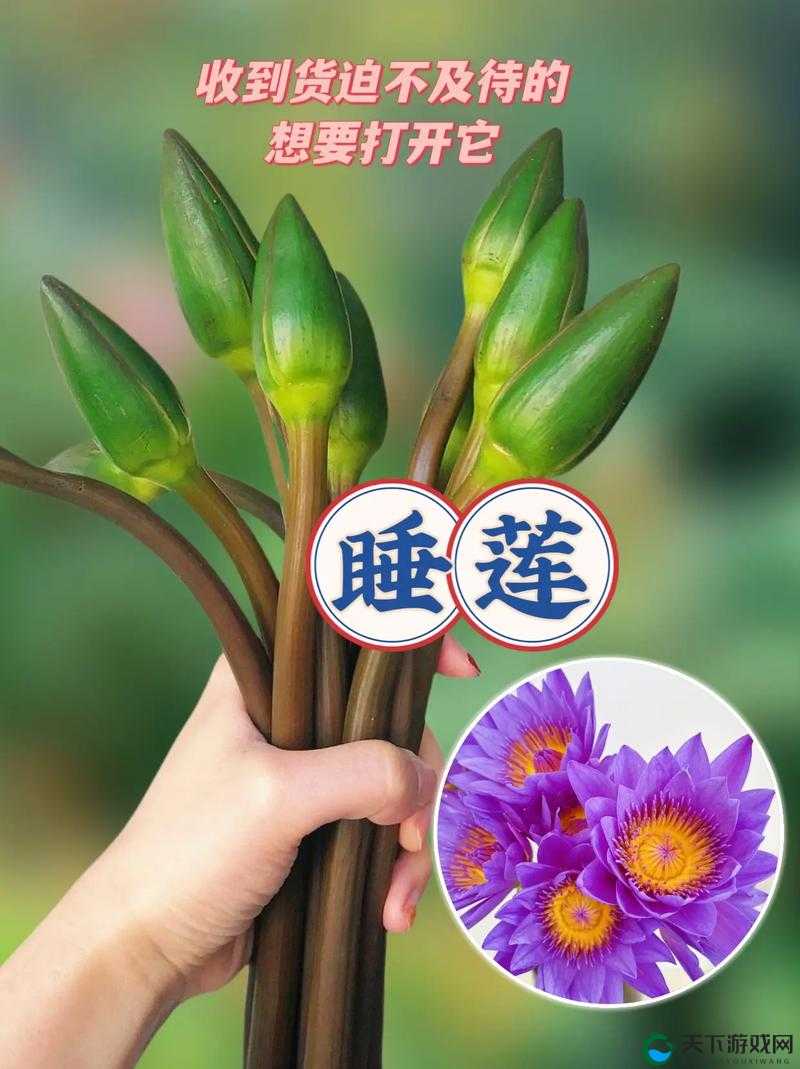 女人半夜莲花开很难受怎么办：探寻解决办法与应对策略