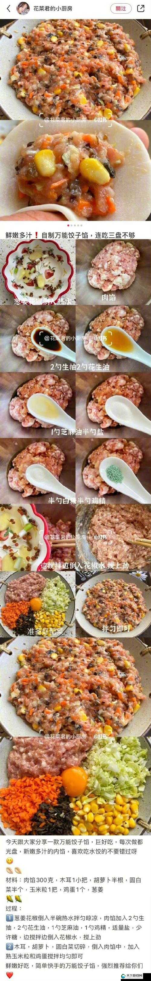 如何制作美味的授课方式肉馅小水饺：从选材到包制全流程教学