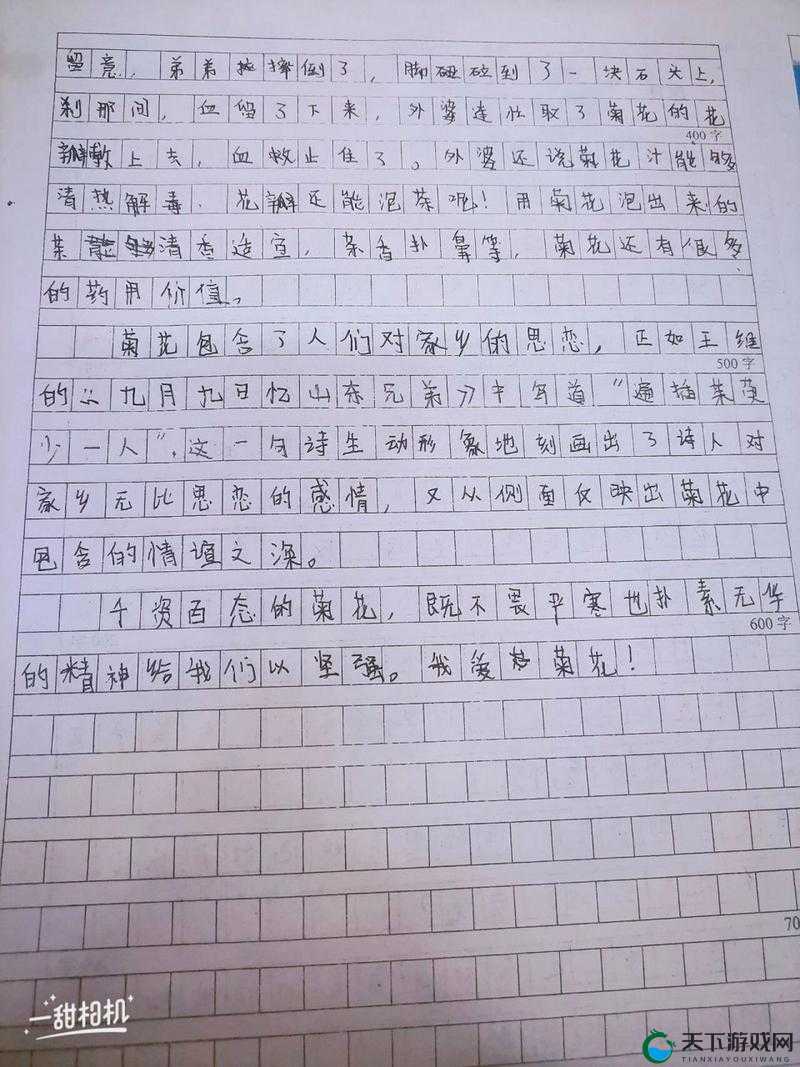 六年级菊花能塞下几支笔：关于这一奇特现象的探讨与研究