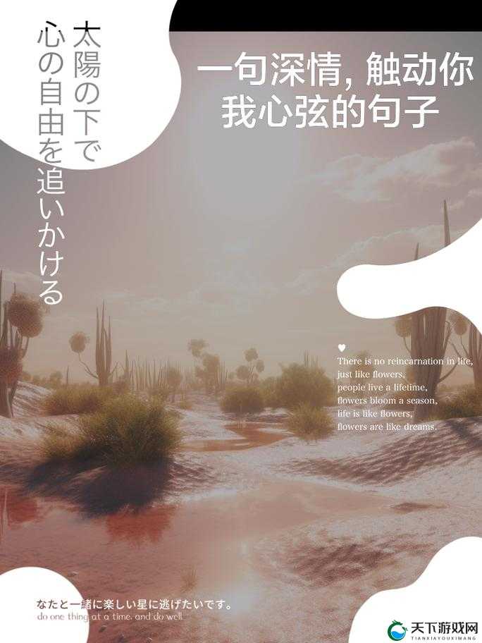 让我的指尖扰乱你的心弦：一场深情的心灵触动之旅