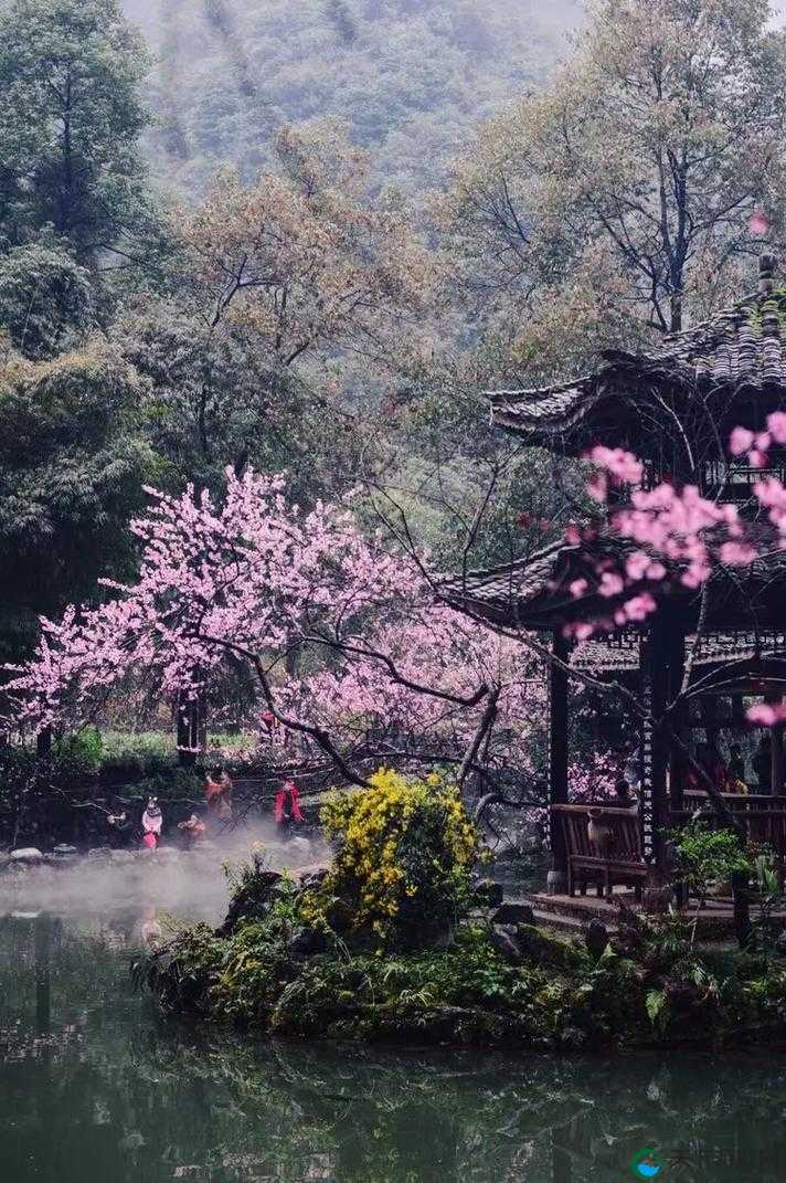 在那桃花盛开的地方，流水潺潺，芳草萋萋