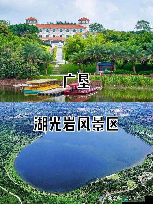 一区二区三区免费：提供丰富多样的免费资源与便利服务
