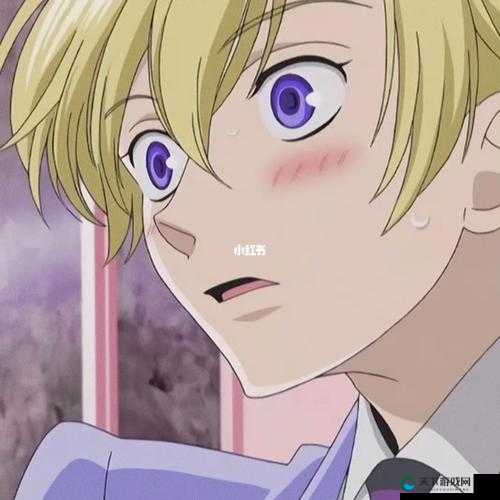 ACCA 少女 SDANVI 的奇幻冒险之旅