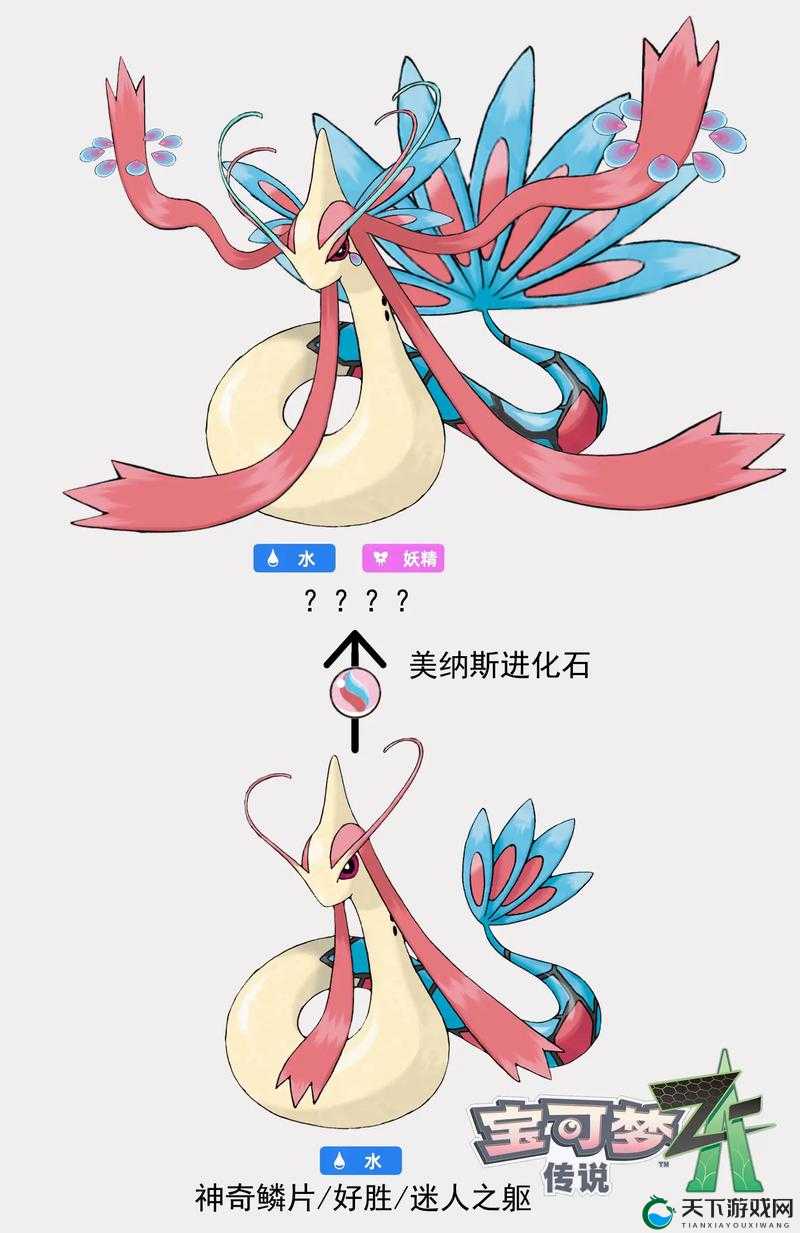 口袋妖怪VS新时代超进化MAGE进化元素来袭，资源管理策略与最大化价值