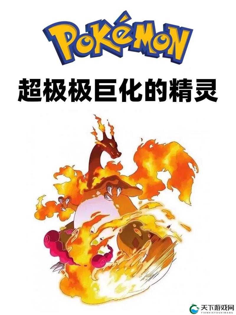 口袋妖怪VS经典系列玩法盘点介绍，资源管理的艺术