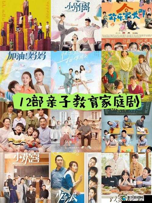 两个妈妈韩版电视剧之关于母爱的深度探讨与情感纠葛