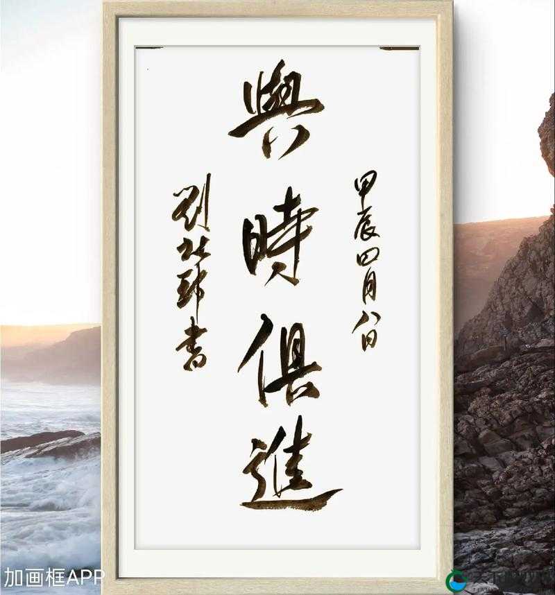 2019 中文字需大全规范更新：与时俱进，引领时代潮流