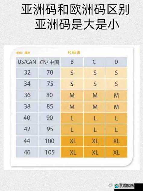 亚洲码欧洲码一码二码三码之尺码差异与特点解析