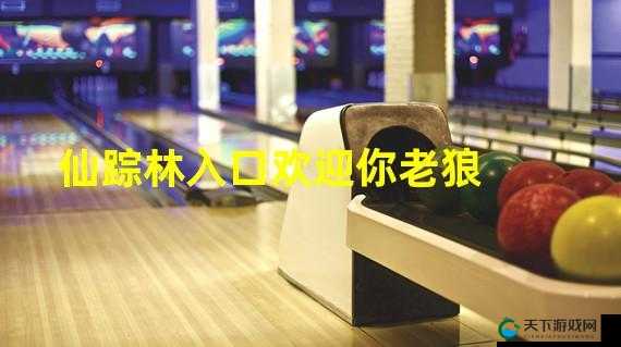 老狼信息网贰佰信息网金属仙踪林：探寻独特网络世界的精彩