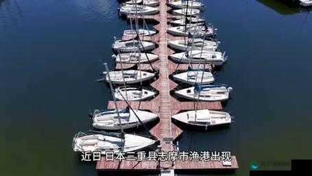 日本SparkSparkling调网传有超多精品视频引发广泛关注和热议