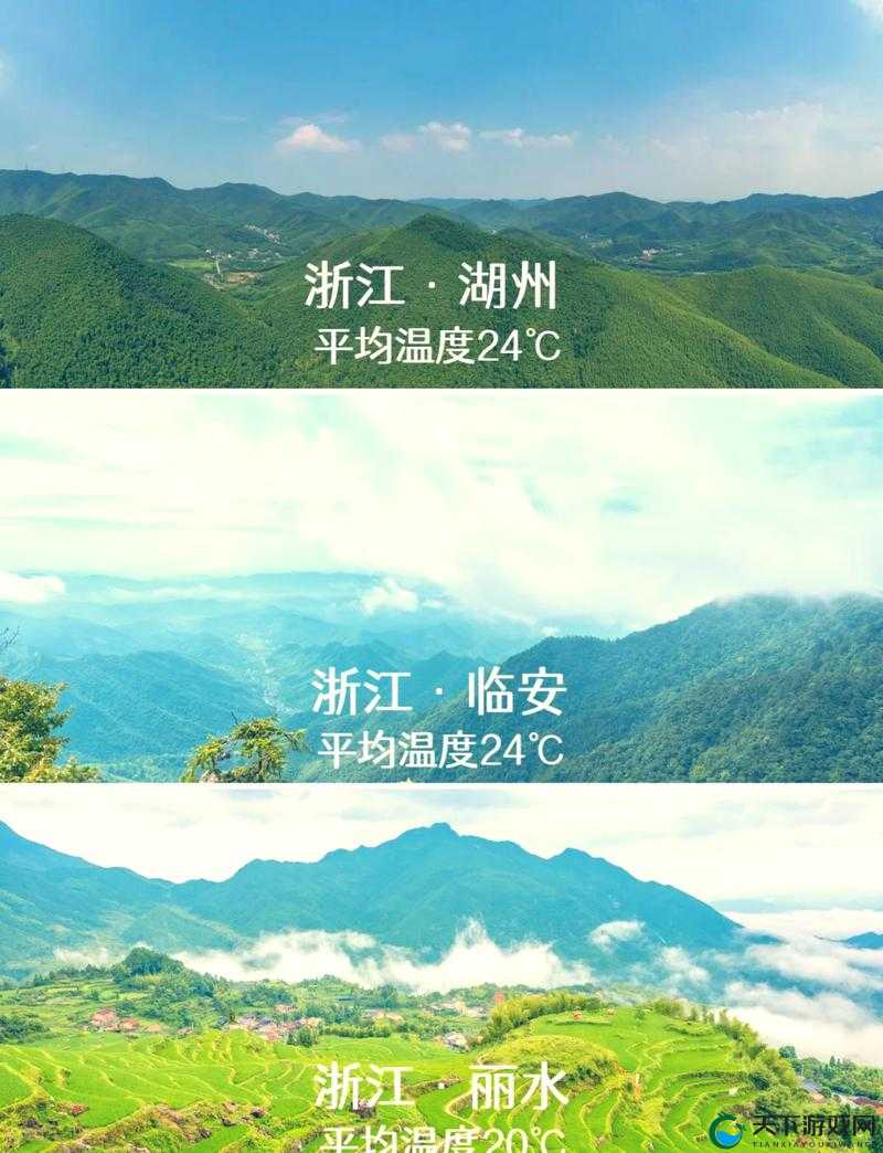 伊春园 2022 直达进入：畅享独特之旅