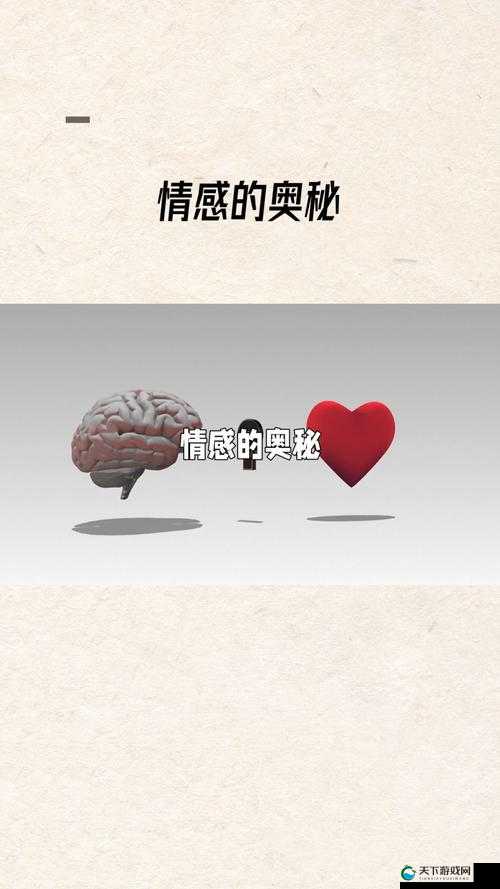 极致偏爱 1vs2：探寻独特情感世界里的深度与奥秘