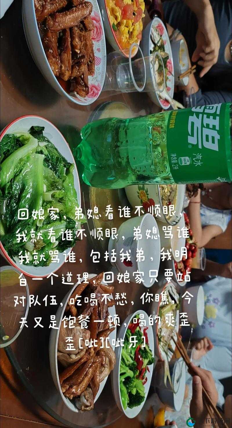 lvl 大哥弟媳古言喝杯奶茶：一段温馨的相聚时光