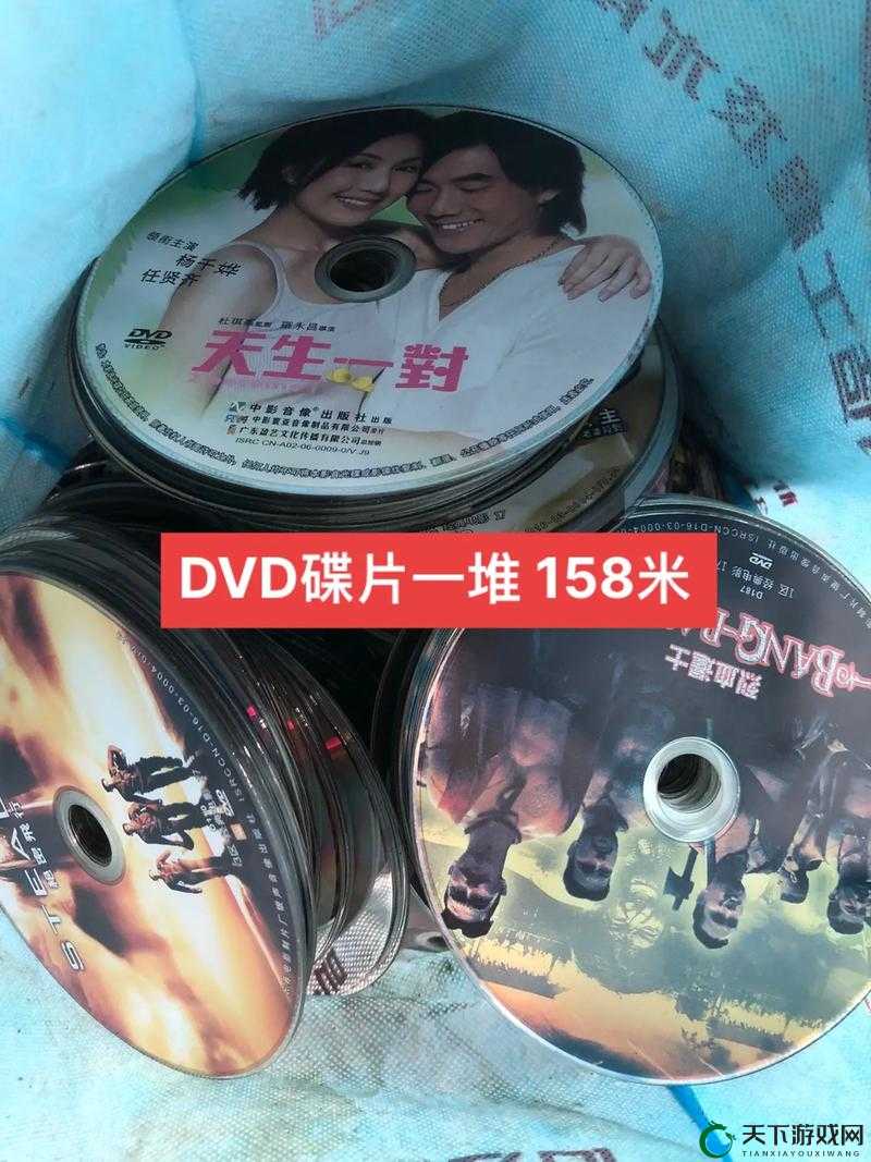 国产日产高清 DVD 碟片:涵盖丰富内容与精湛画质的优质碟片