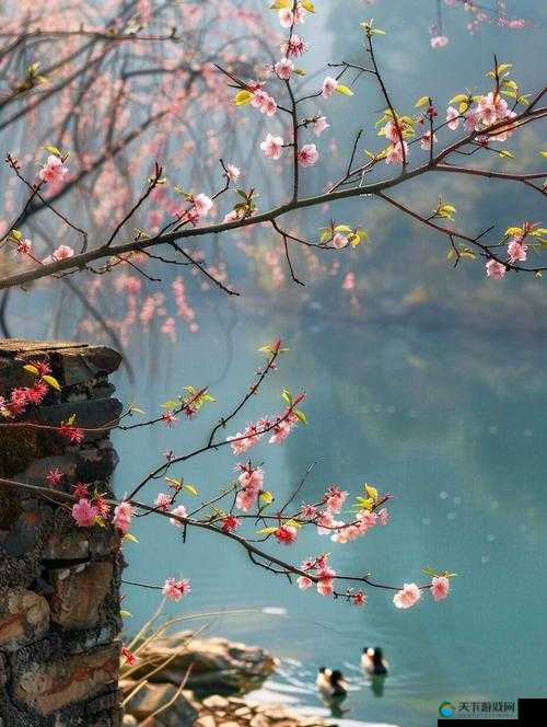 桃花流水芳草萋萋：一幅如诗如画的春日美景画卷