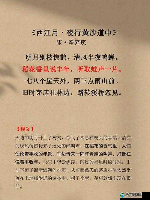 丰年经继拇 3 机能量发展的新契机与未来展望