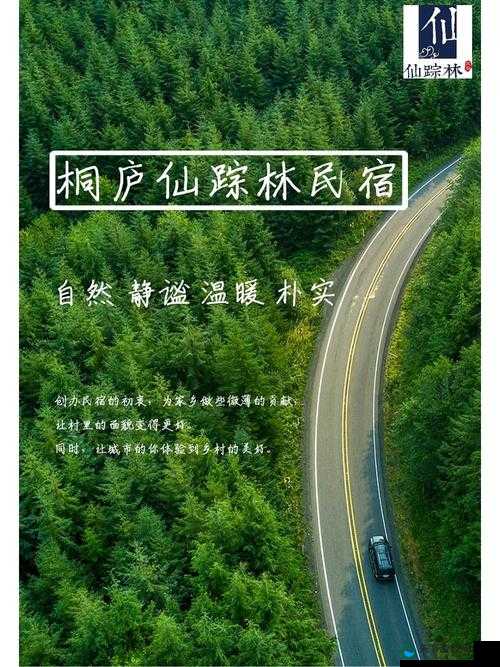 仙踪林官方网站：欢迎你畅享独特美味与美好体验
