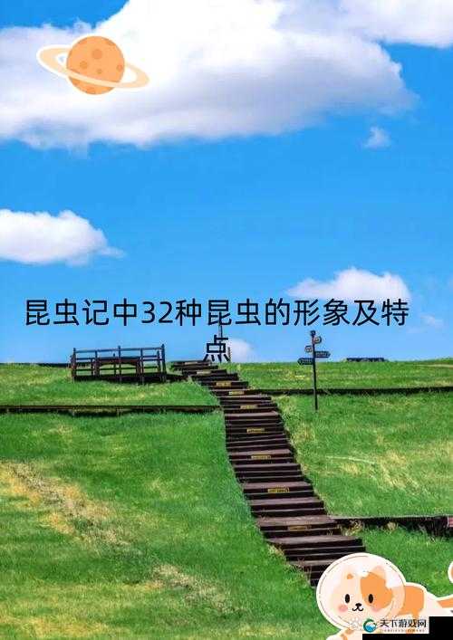 一进一出，其乐无穷：探索无限可能