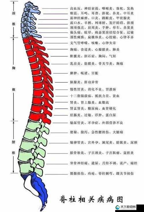 颈腰挺过那层薄膜好疼到底是怎么回事呢