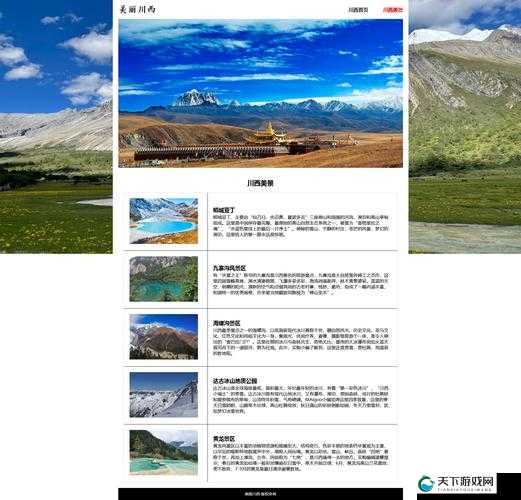 如何使用 WEB 成品网站的详细步骤与方法