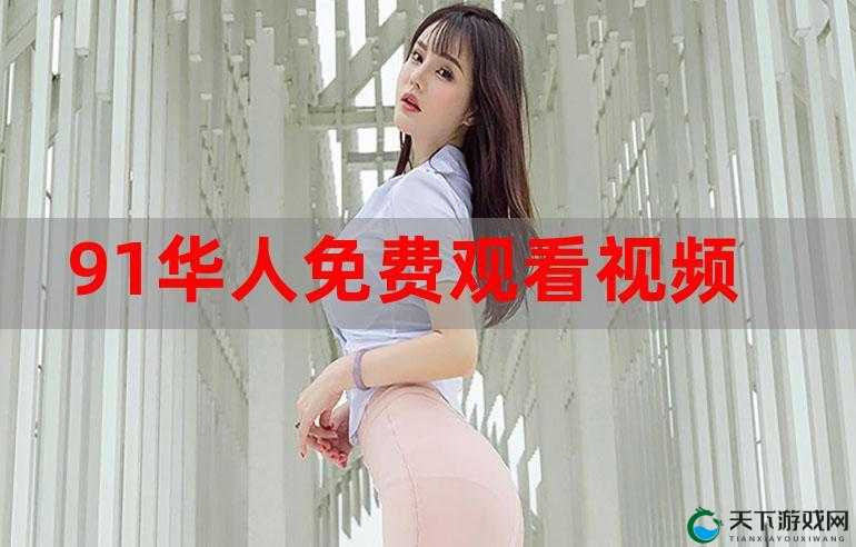 91 免费版安装：详细步骤与注意事项全解析