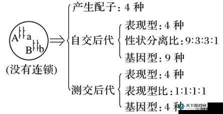 AABB 与 AAAA 的区别址竟然崩溃了引发的思考