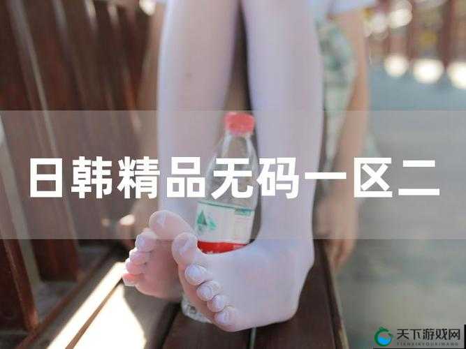 日韩一区二区的区别究竟体现在哪些方面呢