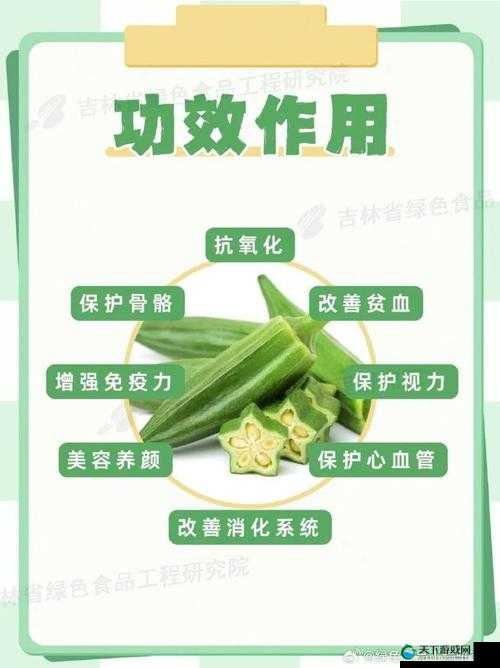 涩涩屋草莓榴莲绿巨人秋葵：营养丰富的超级蔬菜