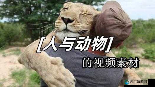 人物动物互动高清视频素材下载：精彩瞬间不容错过