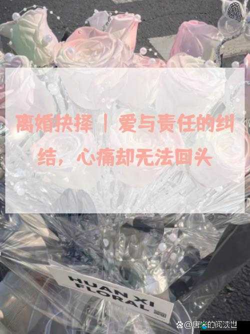 离婚以后高干：情感纠葛后的人生抉择