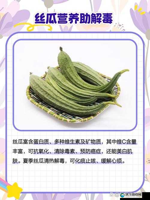 茄子丝瓜草莓榴莲石榴:五种果蔬的独特魅力与价值探索