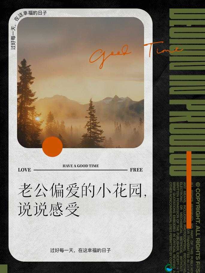 老公亲我的小花园爱我吗怎么回答：甜蜜之问，爱的表达