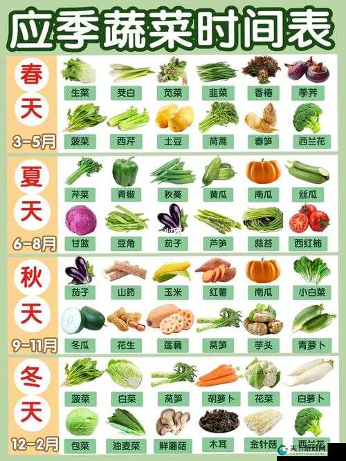 草莓樱桃丝瓜秋葵榴莲黄瓜大全营养解析：水果、蔬菜的营养奥秘