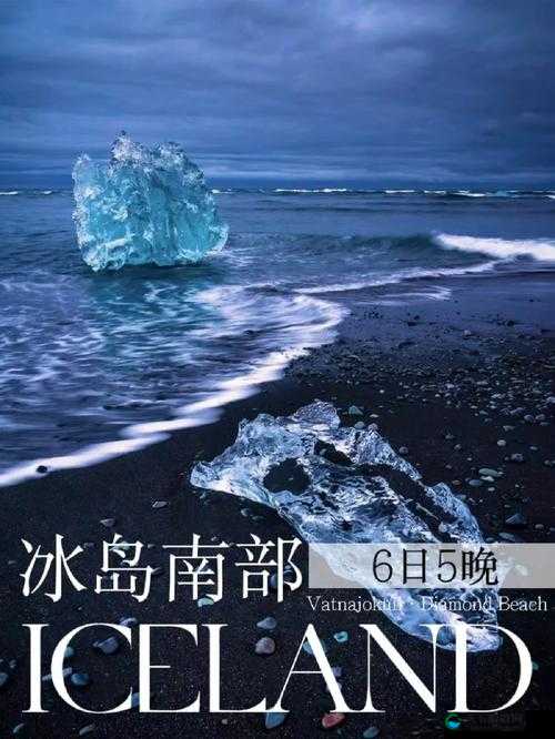 冰与火战歌，自由交易系统的深度探索与玩法详解
