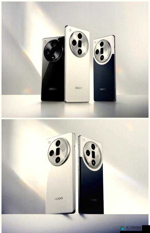 x7x7x7 任意噪 106 详细评测：全面深入解读与分析
