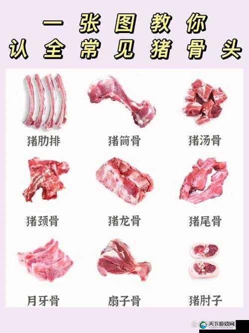人与猪的 DNA 结合后的奇妙世界探索与研究