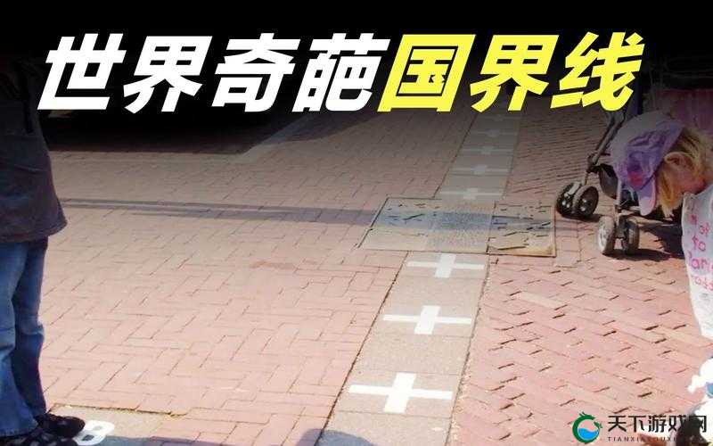 超越国界的连接线：977 国产连接线的独特魅力