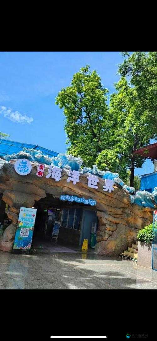 特殊游乐园 hgl：充满奇趣与欢乐的梦幻之地等你来探索