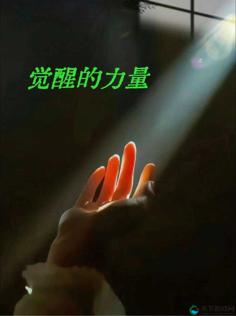 探秘提尔战记中的冥想系统，心灵之旅与力量觉醒