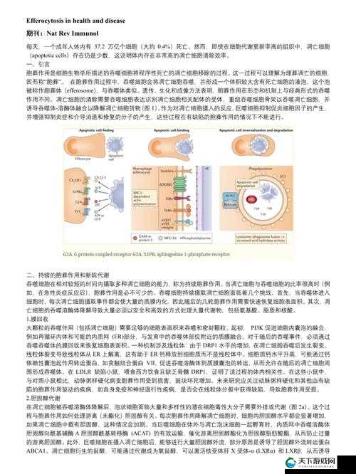 一亲二膜三叉四强五注射:全新解读与探索