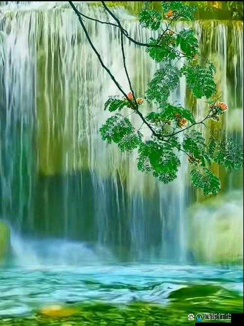 水帘白瀑如饥似渴一丛金黄：描绘自然奇景与独特色彩之美