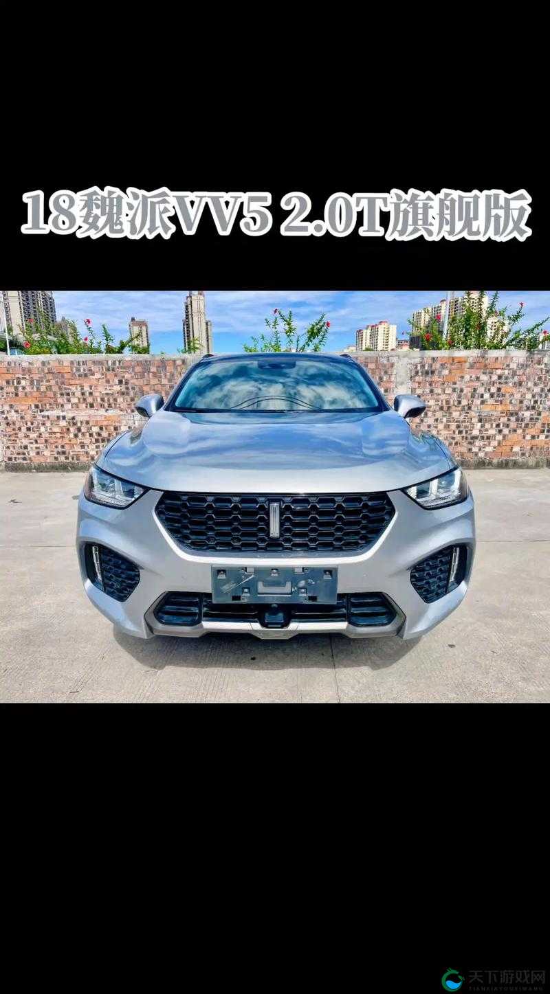 Wey VV5 国产的 SUV，一款不容错过的优质座驾