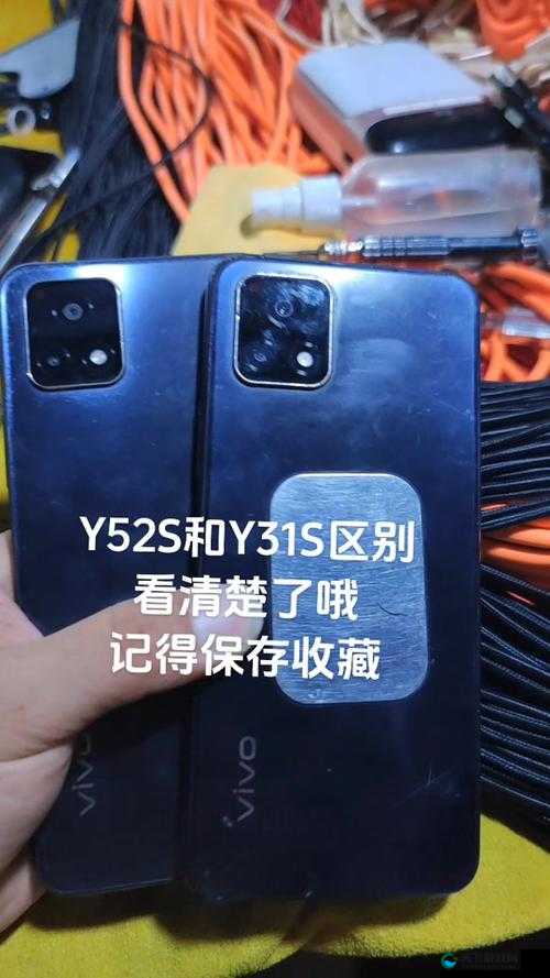 成色好的 Y31S 标准版视频：全面解析该机型的特点与优势