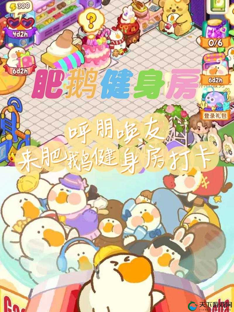 肥鹅健身房如何重新开始：探索创新模式，打造全新体验