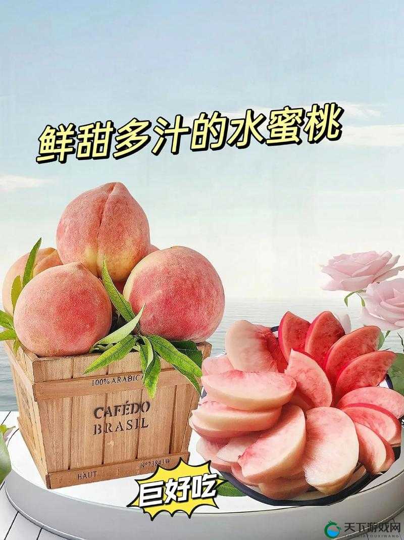 水蜜桃一三四专区：独特魅力与精彩呈现