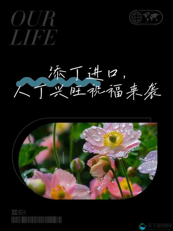 女生与男生一起努力生猴子：共筑温馨爱巢期待新生命降临