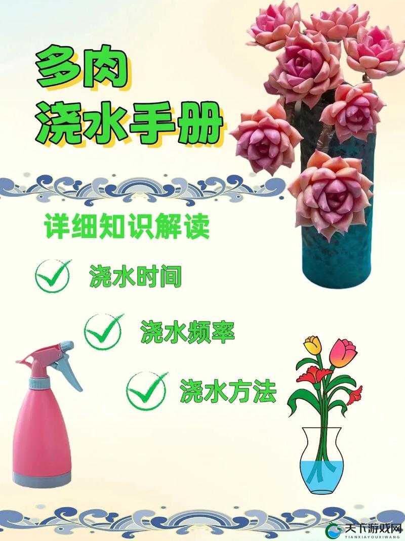 皇家共享小公主多肉养护方法:保持充足阳光和适度浇水